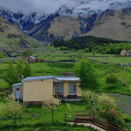 Mountain Kazbegi Apartment Extérieur photo